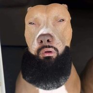 1604067562073.png