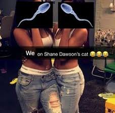 1605064862563.jpeg