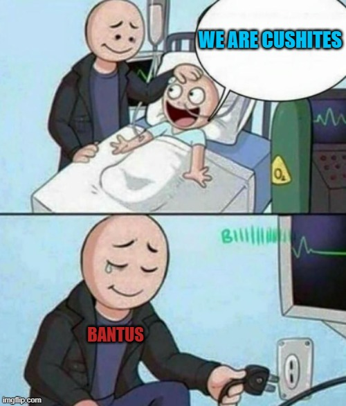1605490078838.png