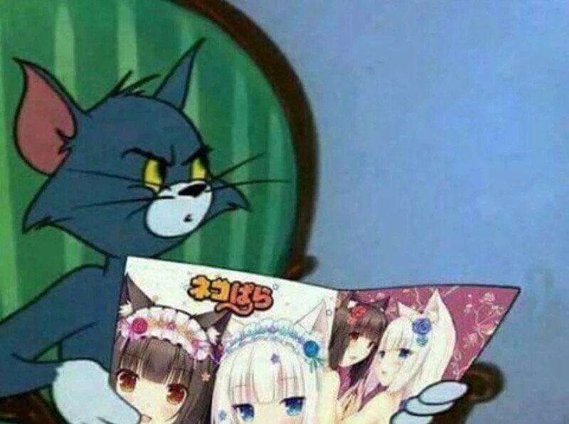 1605633641497.jpeg