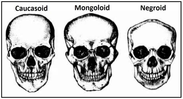 1606600213567.png