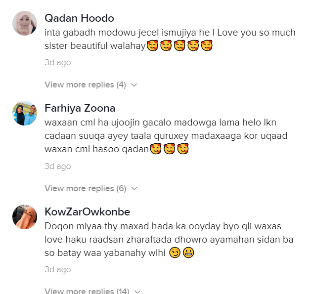 1607133776126.png