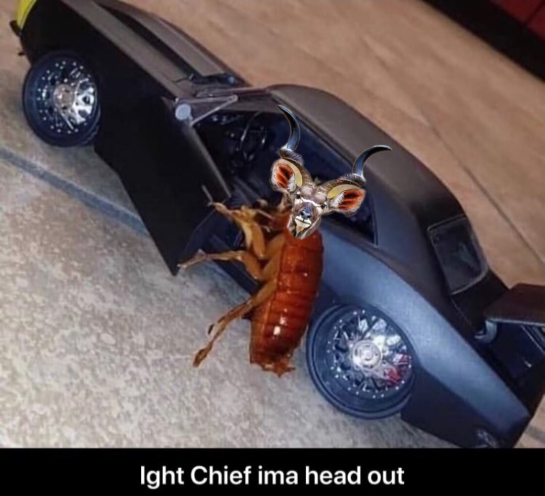 1607911909920.jpeg
