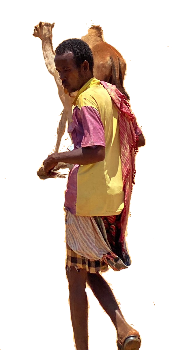 1610553809444.png