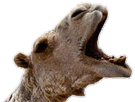 1610553867044.png