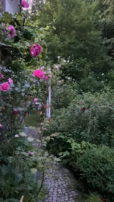 1611704203747.jpeg