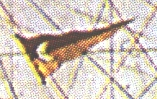 1612629448036.png
