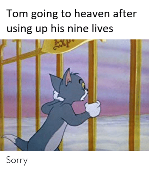 1614968825713.png