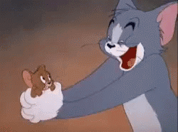 1618974069630.gif