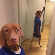 1622575897499.png
