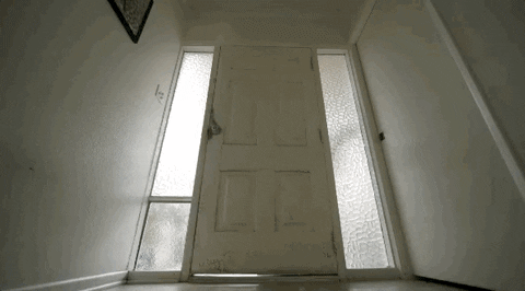 1624588160467.gif