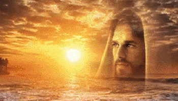 1626654712241.gif