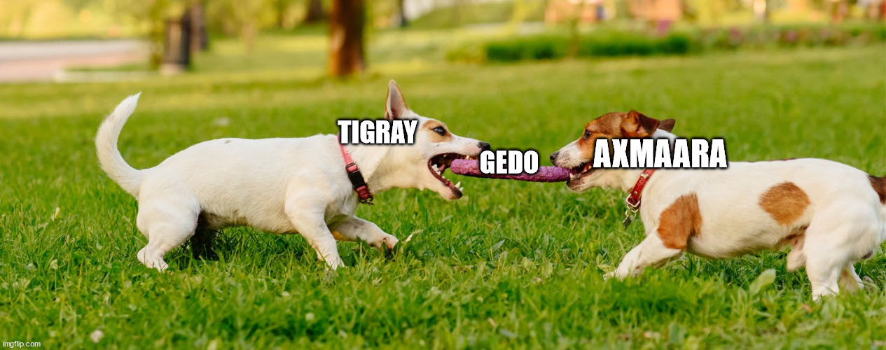 1628482869777.jpeg