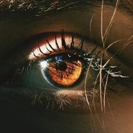 1630719337235.png