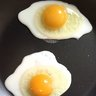 1631220950647.png