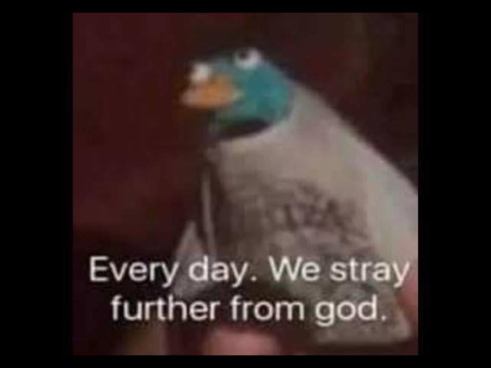 1635249023516.jpeg