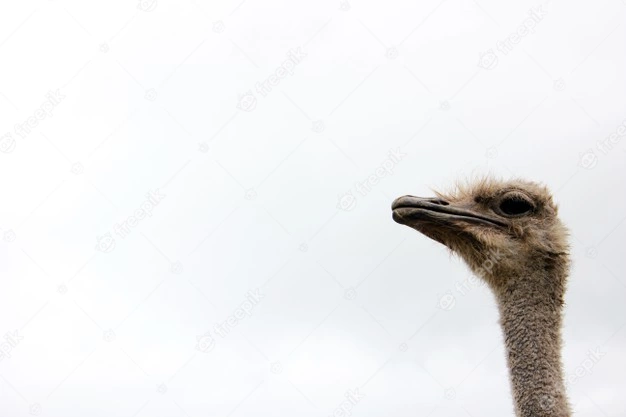 1636867688036.png
