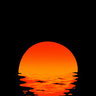 1637384950884.png