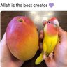 1639805321700.png