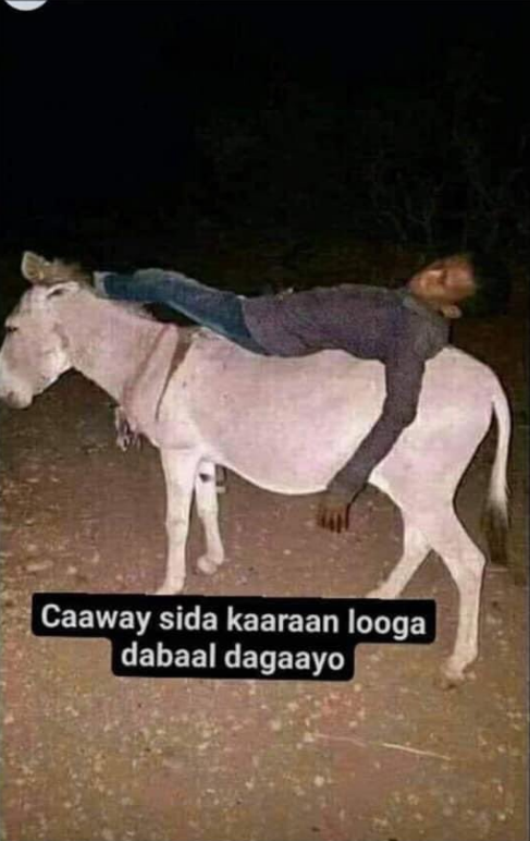 1640035632329.png