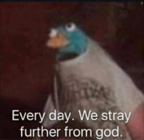 1642104226507.jpeg