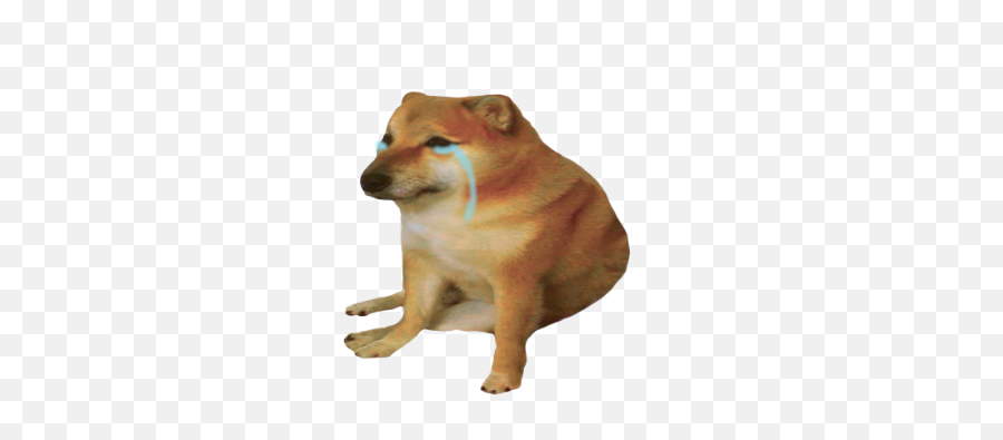 1644343682394.png