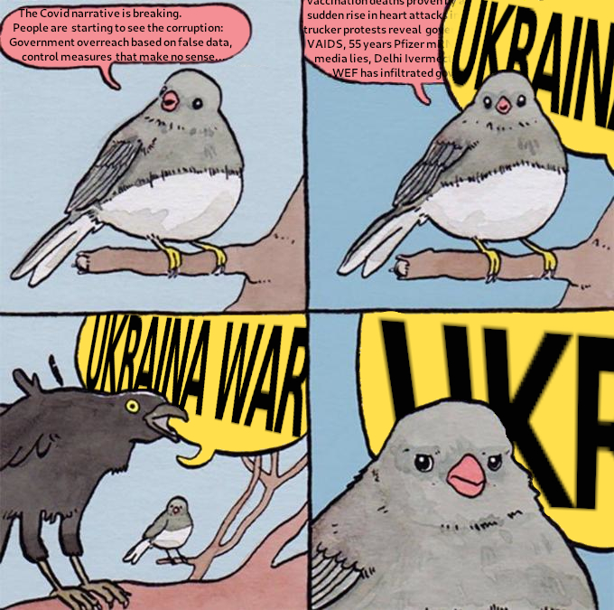 1645874869285.jpg