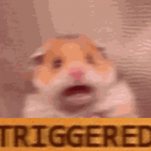 1647605457626.gif