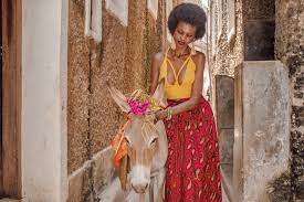 The Ultimate guide to visiting Lamu Island for the first time - Just Rioba