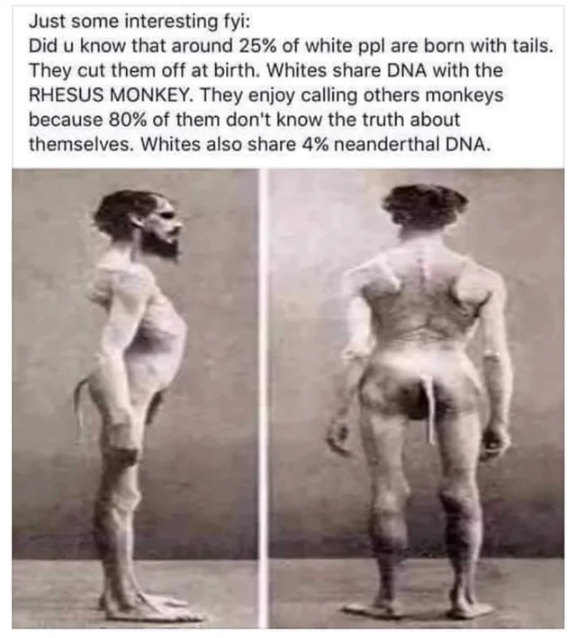 1648921964026.png