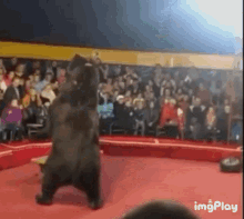 1654392853329.gif