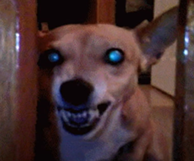 1654448130930.png