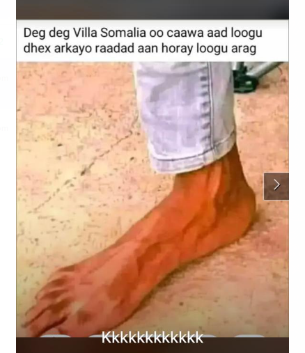 1655313057408.png