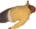 1656598621828.png