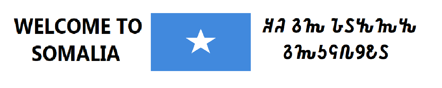 1657994376006.png