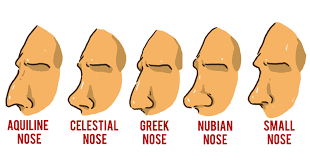 1659454007601.png