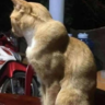 1660222555100.png