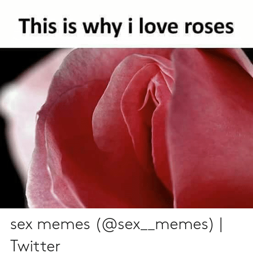 1662992135188.png