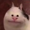 1663978735897.png