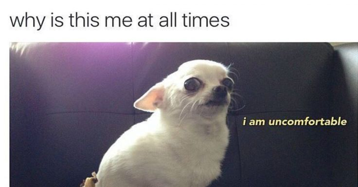 1664293485966.png