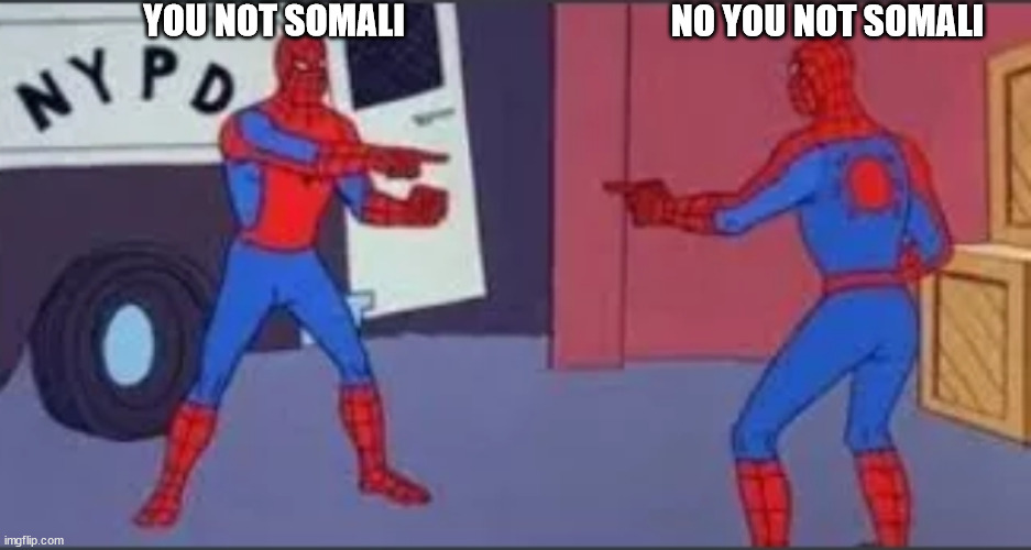 1665659959552.png