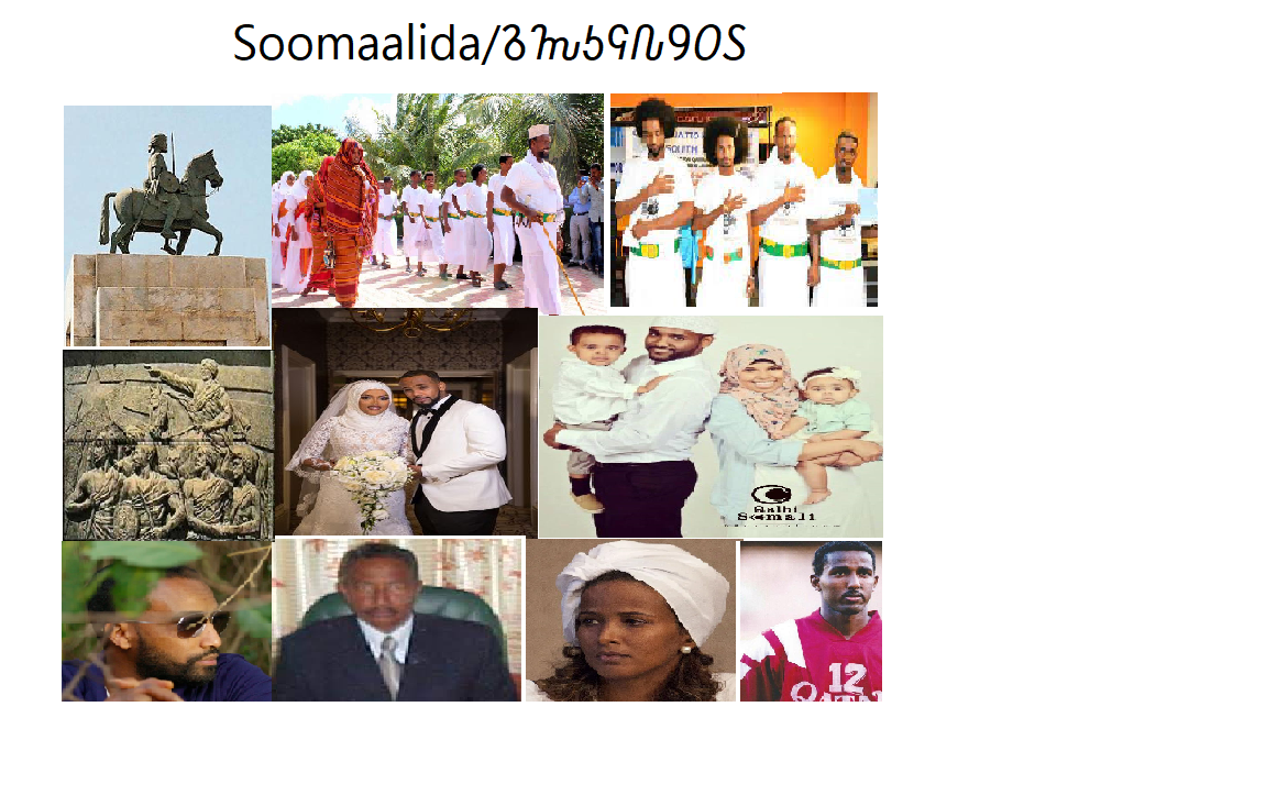 1667307069548.png