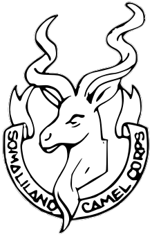 1667491108619.png