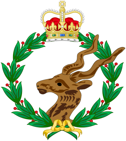 1667495336696.png