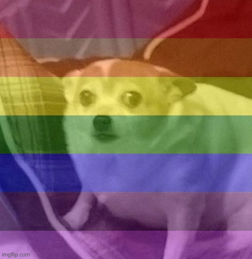 1668283777127.png