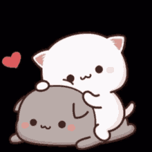 1669007492109.gif