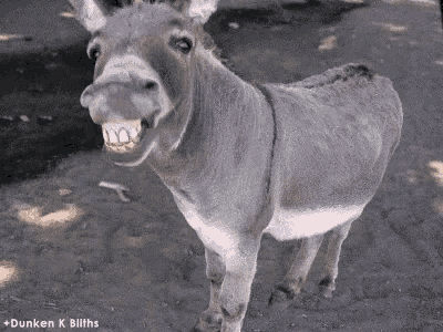 1672697298883.gif