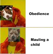 1674288191723.png