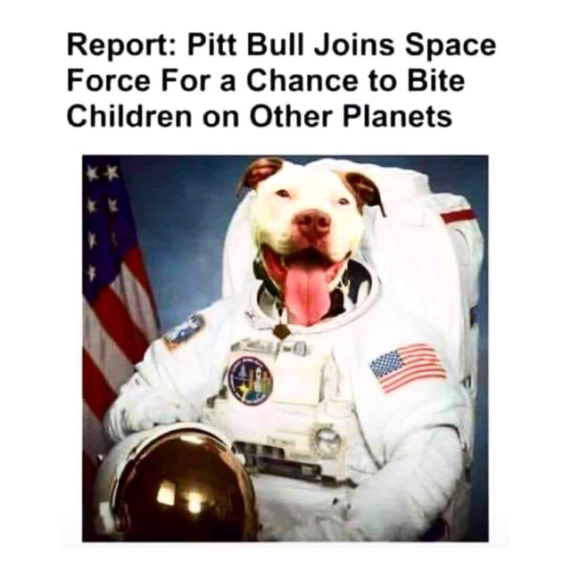 1674289001589.png