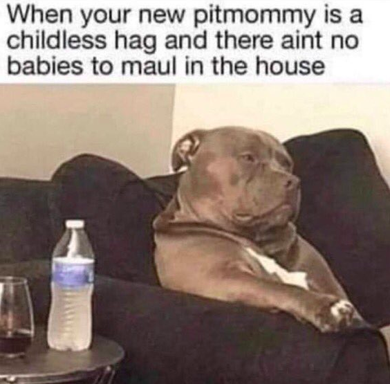 1674289773322.png